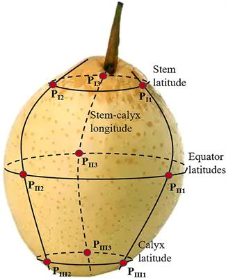 Robustness of calibration model for prediction of lignin content in different batches of snow pears based on NIR spectroscopy